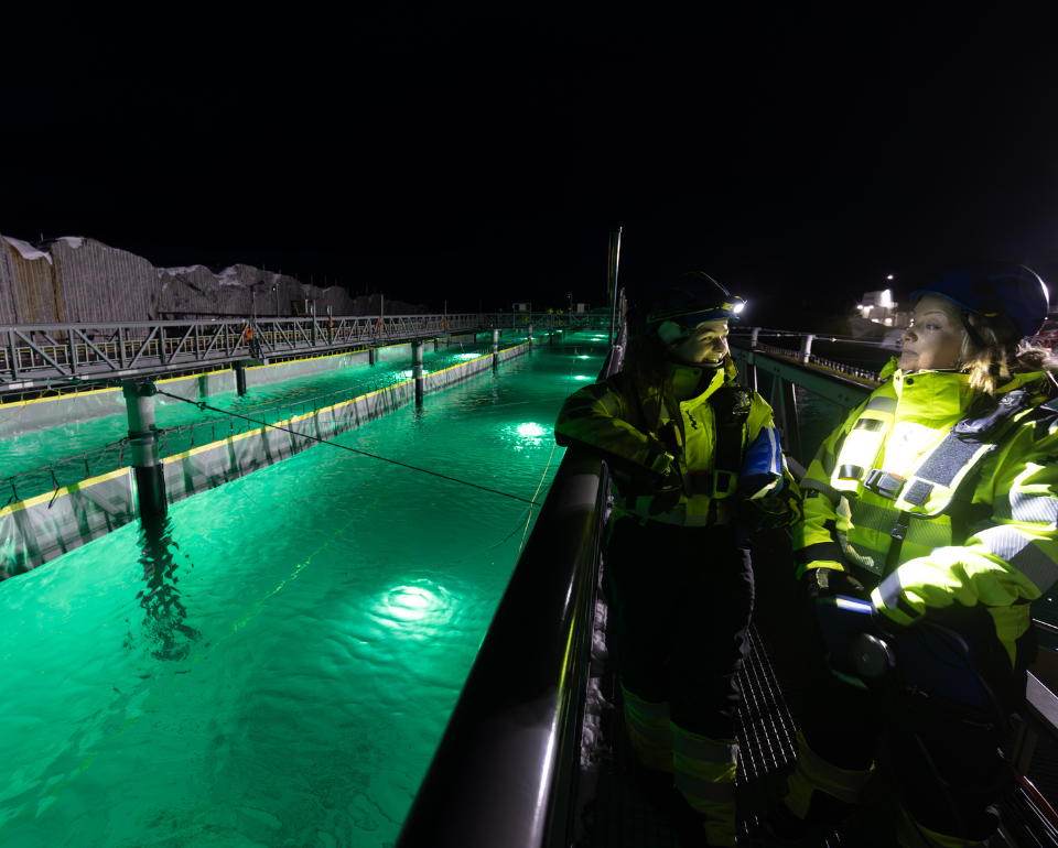 Two Kiwa audotors in safety gear stand on a metal platform during an audit overlooking an illuminated aquaculture tank at night, engaged in conversation