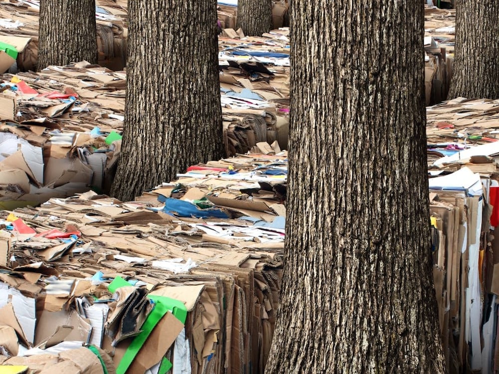 The recycling industry’s growing pains