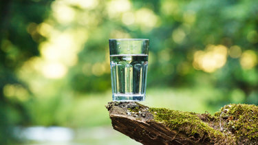 Drinking Water.jpg