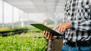 Man holding Ipad within a greenhouse