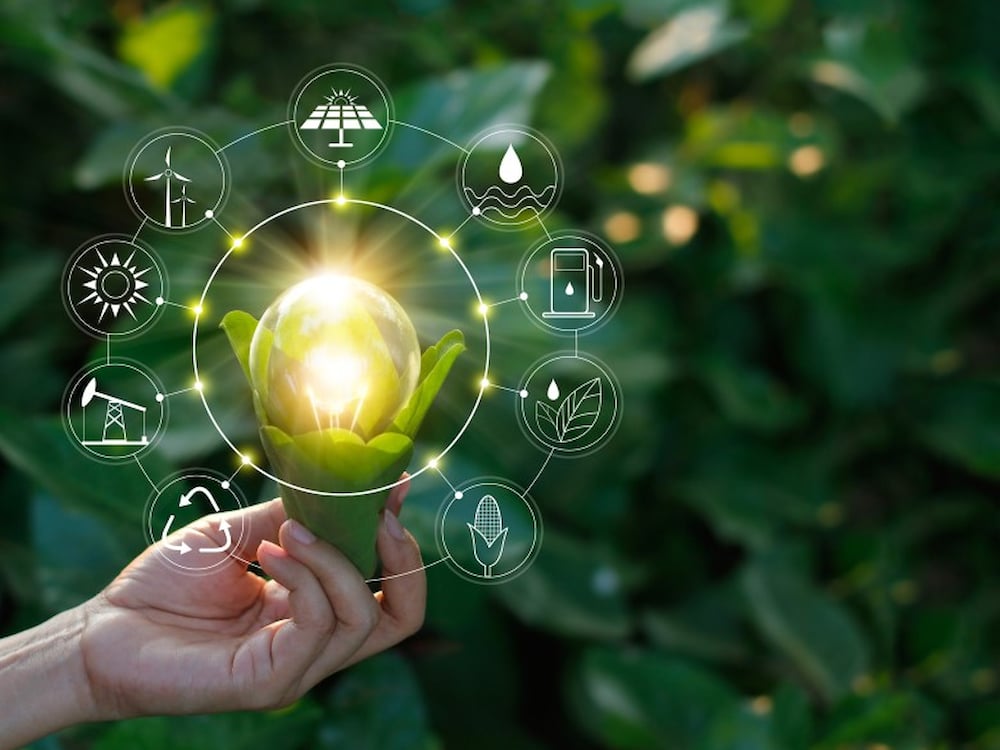 Illustration with icons related to sustainability