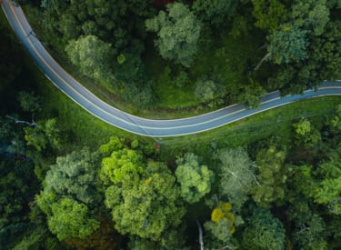 Winding road through a forest seen from above