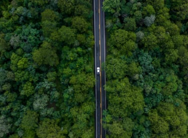 Image of car driving through a forest