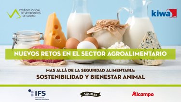 Imagen Proyector.jpg