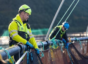 Kiwa certifying sustainable salmon from Gratanglaks with ASC Salmon Standard certification