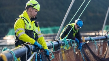 Kiwa certifying sustainable salmon from Gratanglaks with ASC Salmon Standard certification