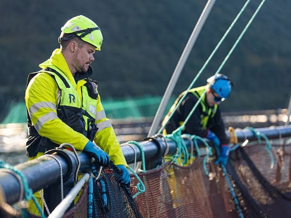 Kiwa certifying sustainable salmon from Gratanglaks with ASC Salmon Standard certification