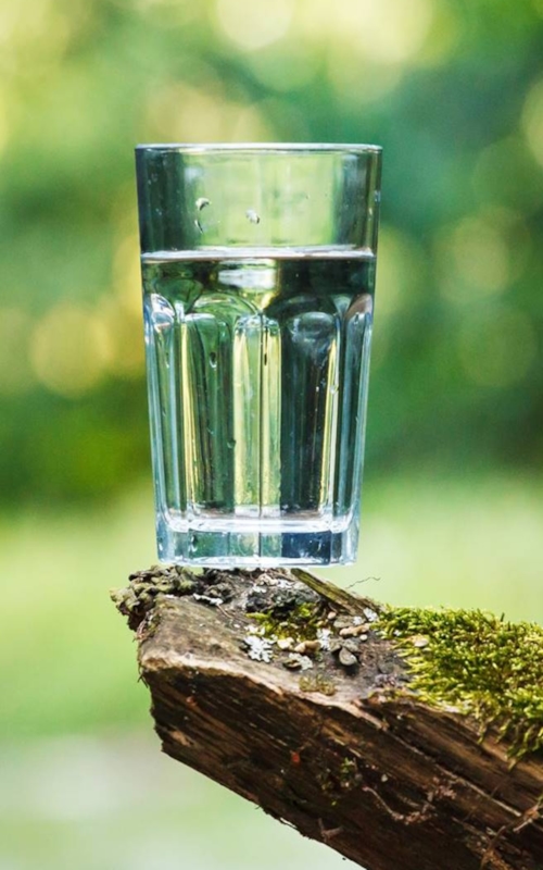 一杯水在自然
