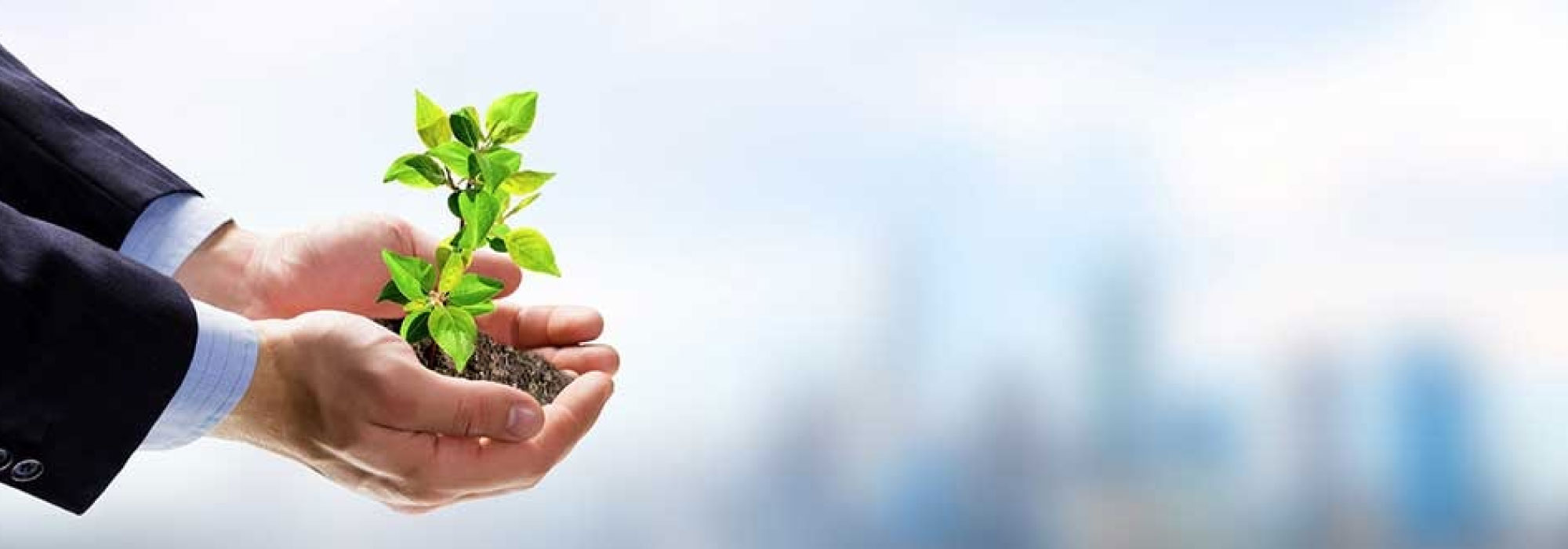 Manos sosteniendo una pequeña planta con tierra, frente a un fondo urbano desenfocado.