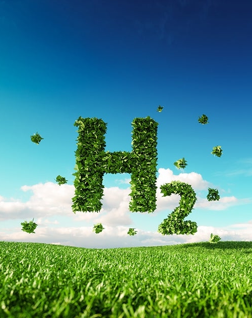 H2 icon in meadow