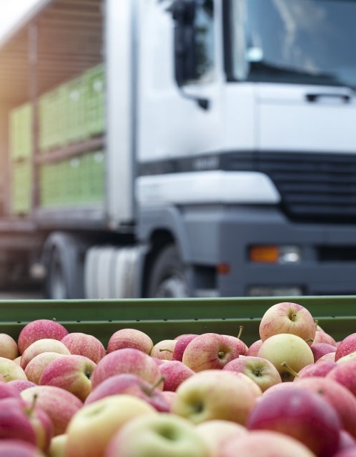 Transport de pommes certifié par Kiwa France