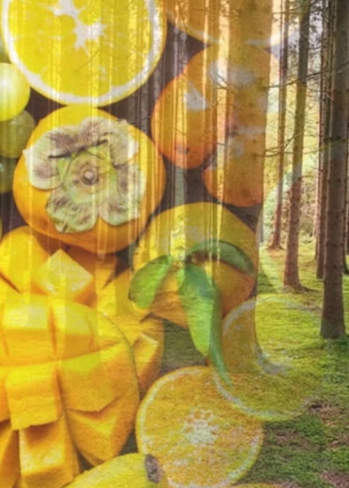 GLOBALG.A.P y Rainforest