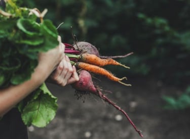 Expanda su negocio a EE.UU