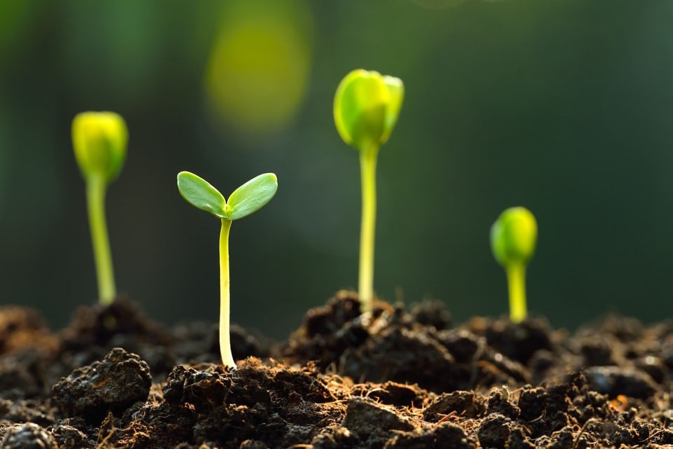 Corporate Social Responsibility (CSR)