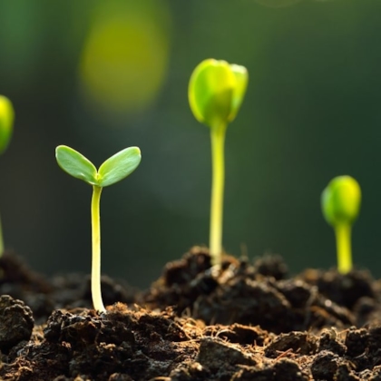 Maatschappelijk Verantwoord Ondernemen (MVO)