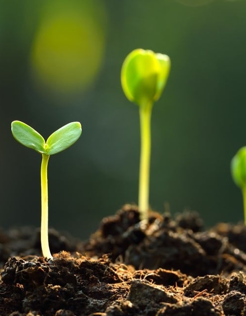 Corporate Social Responsibility (CSR)