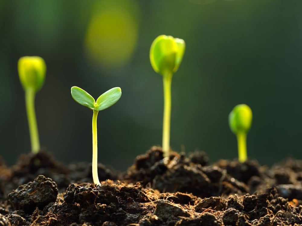 Maatschappelijk Verantwoord Ondernemen (MVO)