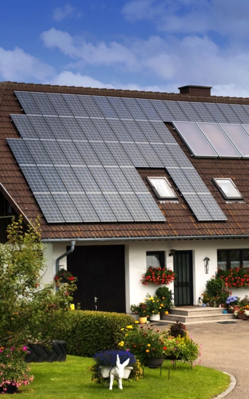 People are skydiving