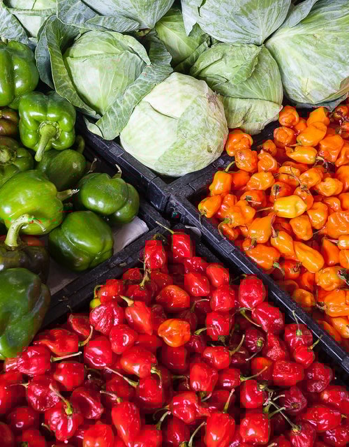 frutas y verduras cursos formación