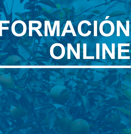 portada formación online CoC