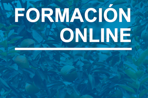 Portada formación online