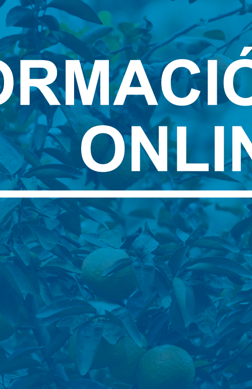 Portada formación online