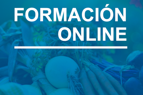 portada formación online