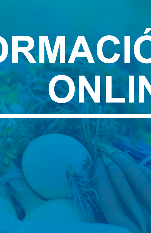 portada formación online