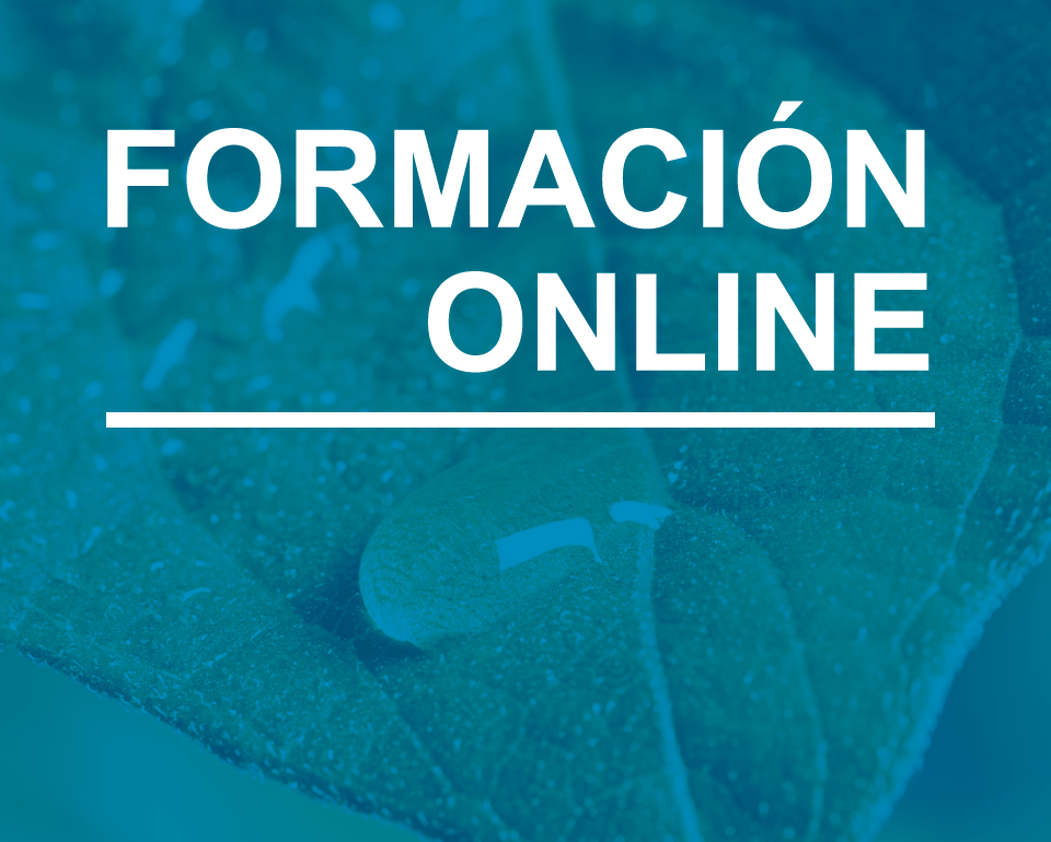 portada formación online SPRING