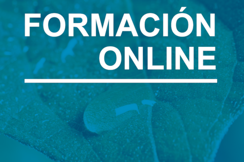 portada formación online SPRING