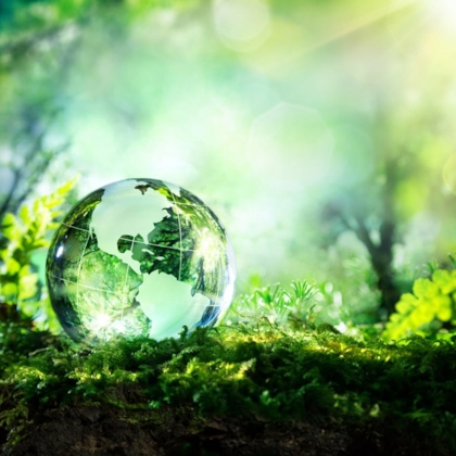 Globe in green landscape
