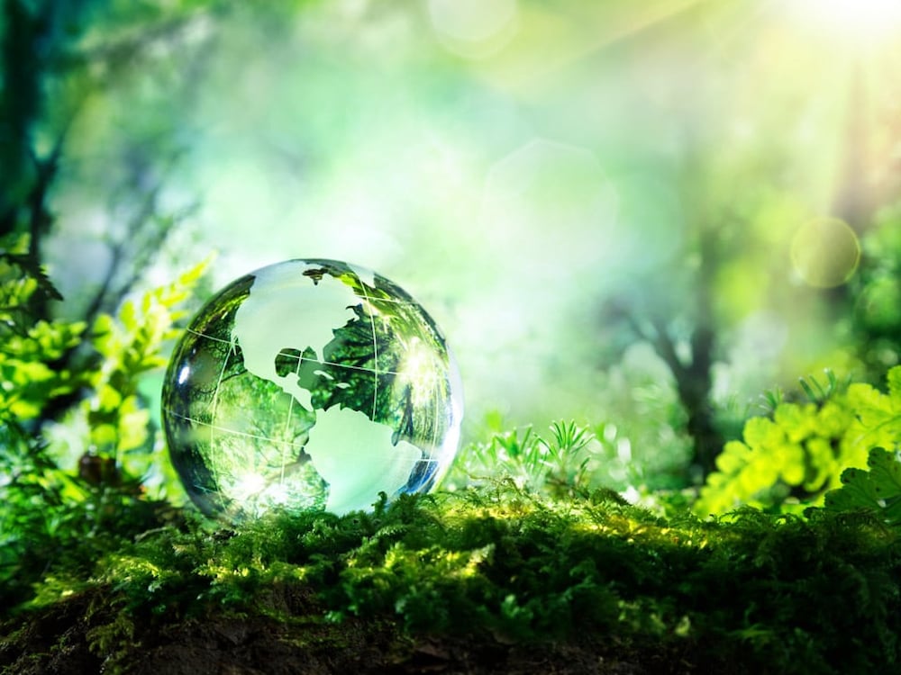 Globe in green landscape