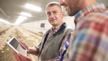 Revisorer utför certifieringsrevision.