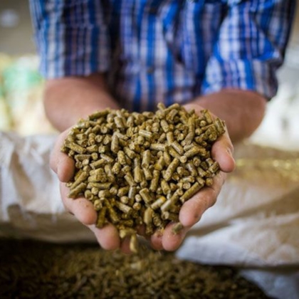 Animal feed