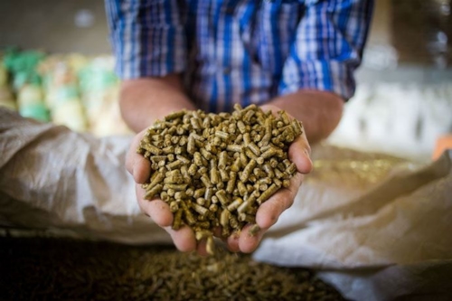 Animal food