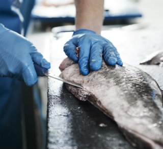 Fish preparation