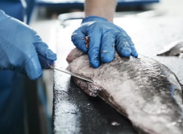 Fish preparation