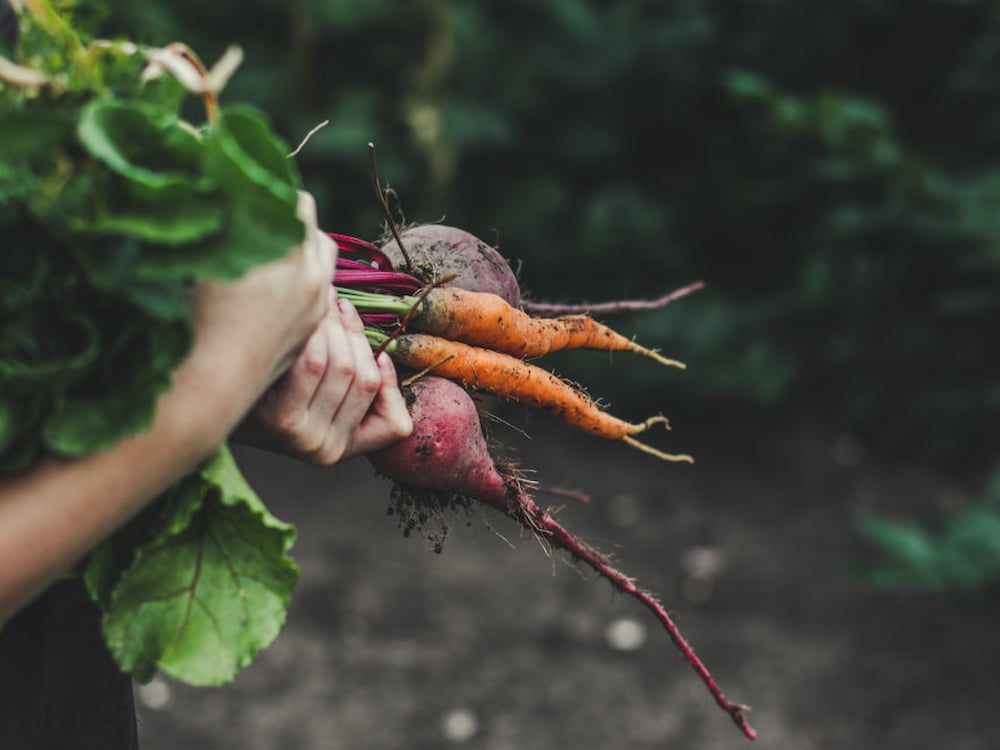 organic_vegetables