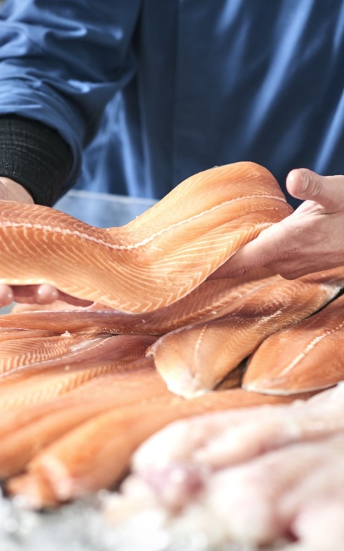 ASC certified salmon filets by Kiwa
