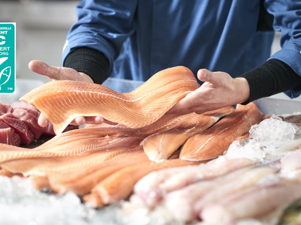 ASC certified salmon filets by Kiwa