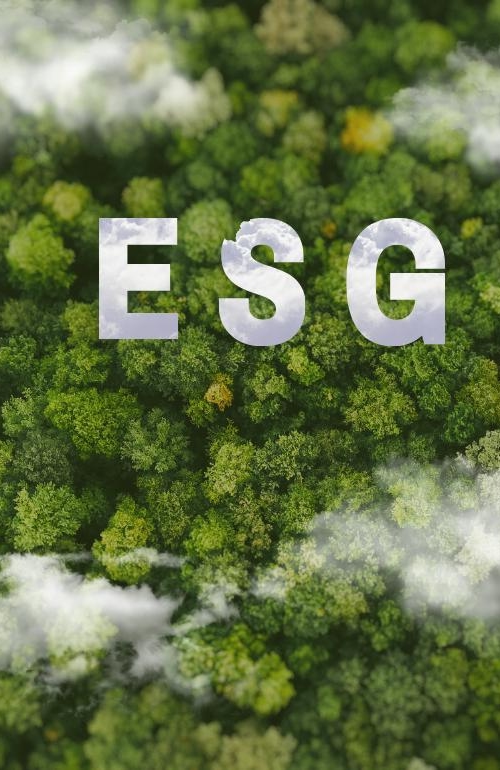 森林白云ESG大图