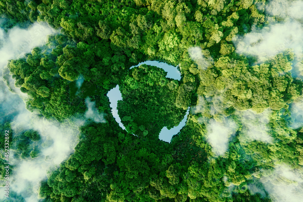 Aerial view of lush green forest with cloud cover, forming a circular shape