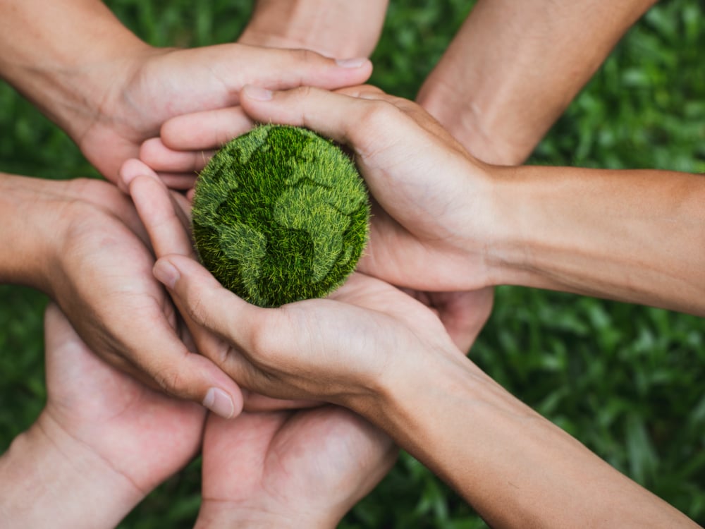 Kiwa - Father and child playing together