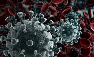 Kiwa - Kiwa&rsquo;s policy in relation to the Corona virus (COVID-19)