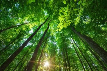 Kiwa certification - System certification environmental management or energy management - ISO 14001 and ISO 50001