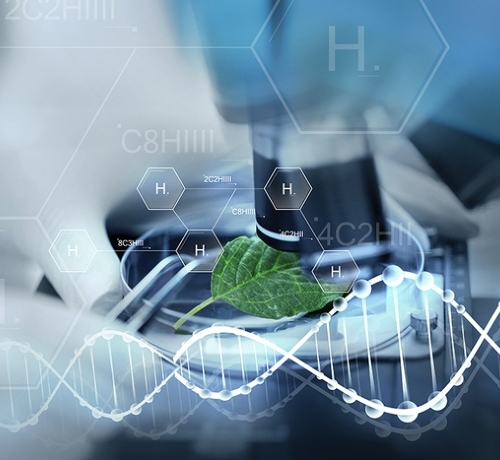 Hydrogen test facility