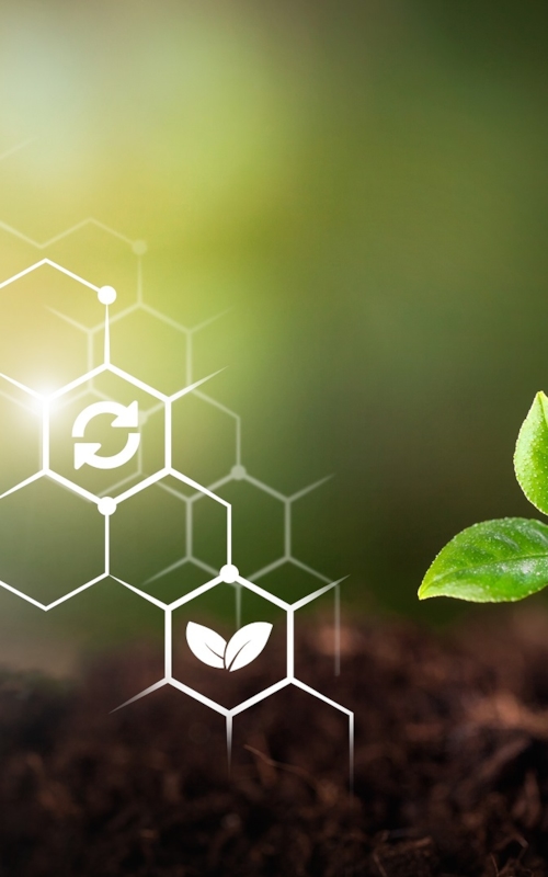 碳足迹土壤绿苗