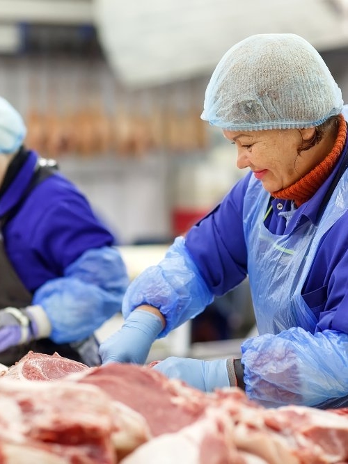 GRMS inspection on a meat factory