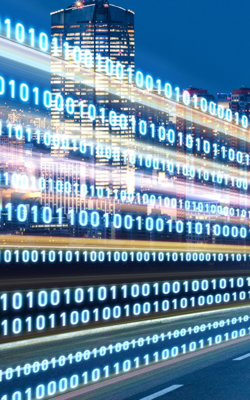 Cyber Security Professional