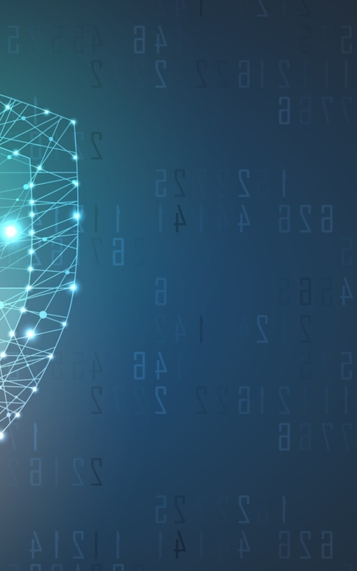 Information security lock